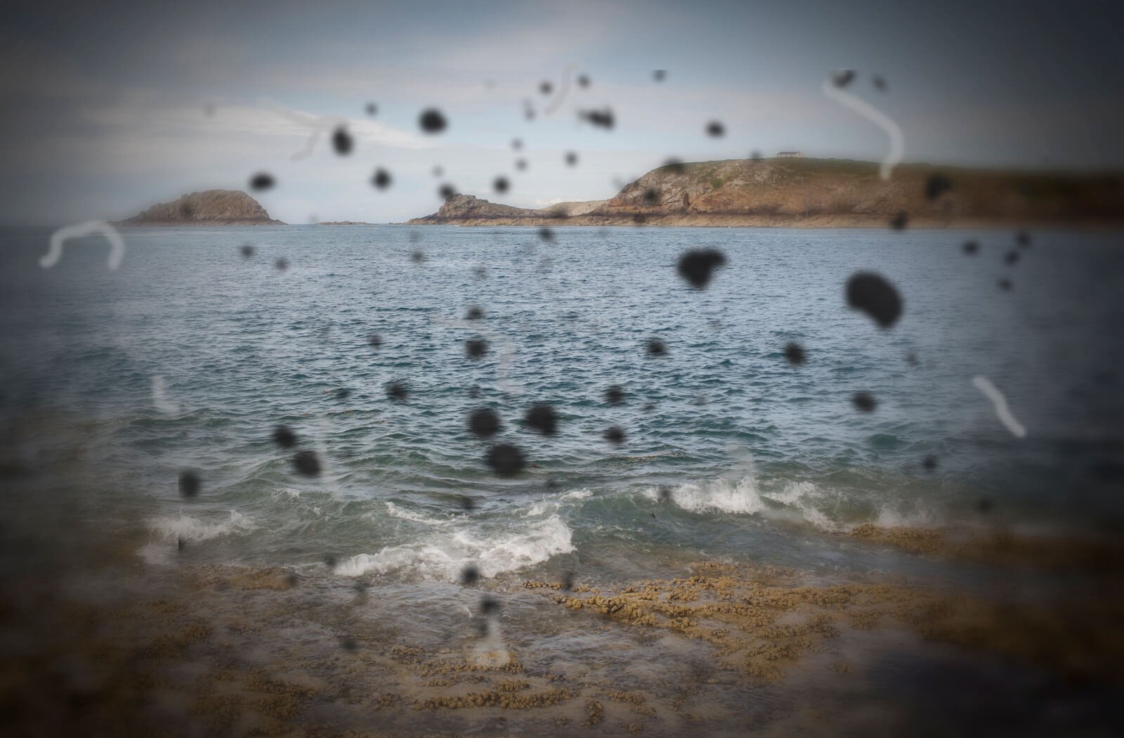 Eye floaters example image